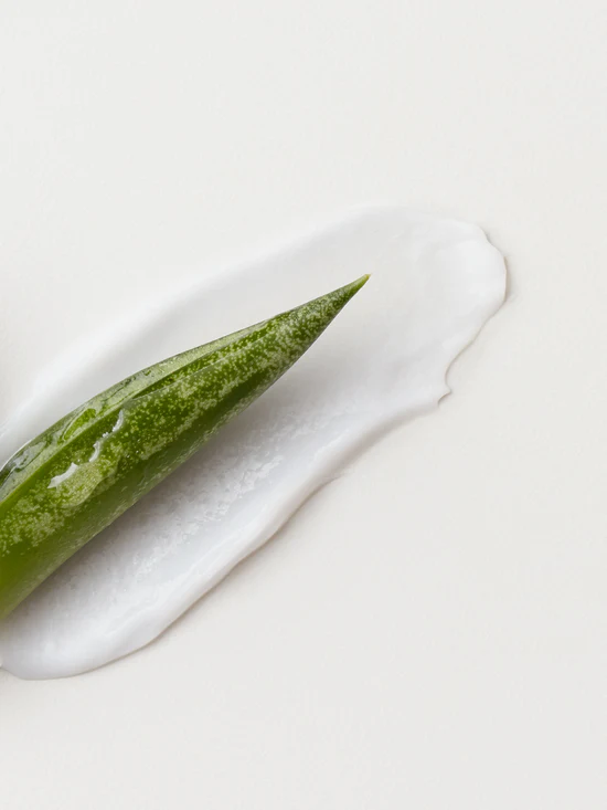 Fast Food Leave-On Conditioner | 8oz - Image 4